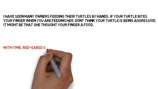 Are Red-Eared Sliders Friendly or Aggressive? смотреть онлайн