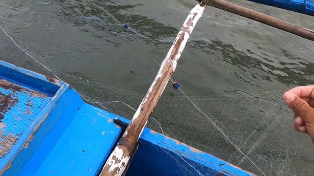 Mga mapuputing isda nahuli namin with @KabrotherEd смотреть онлайн