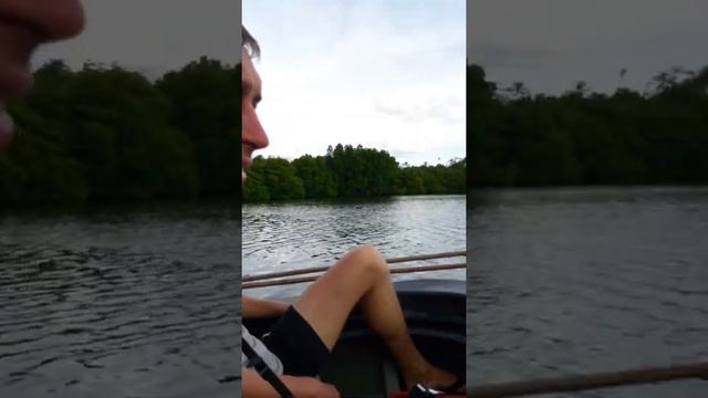 Озеро крокодилов и мангровые заросли Шри-Ланка