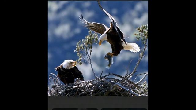 11/25/2023 - Суббота Утро - Владислав Зубков смотреть онлайн