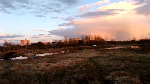 лебеди на пруду и аист в поле смотреть онлайн