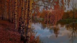 Одинокая звезда ... #душевнаяпесня