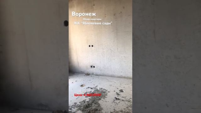Обзор новостройки от ДСК жилой комплекс “Яблоневые сады” г.Воронеж. смотреть онлайн