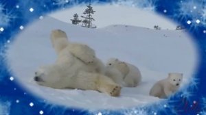 Ложкой снег мешая. ночь идет большая...