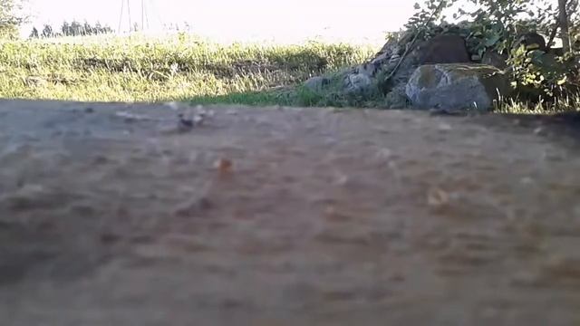Hotwheels cars. Mitsubishi Lancer Evolution vs Subaru Impreza STIR смотреть онлайн