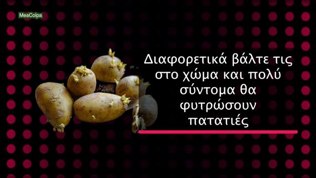 Πως θα συντηρήσεις τις πατάτες смотреть онлайн