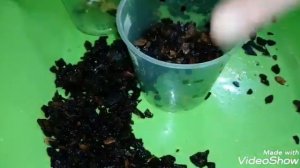 Новый Рост от Старой Бульбы