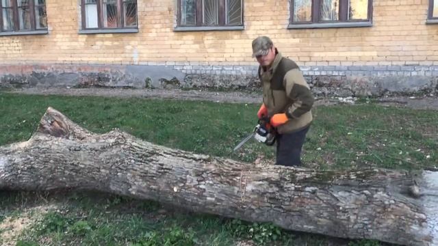 Распил дерева experttranstorg смотреть онлайн