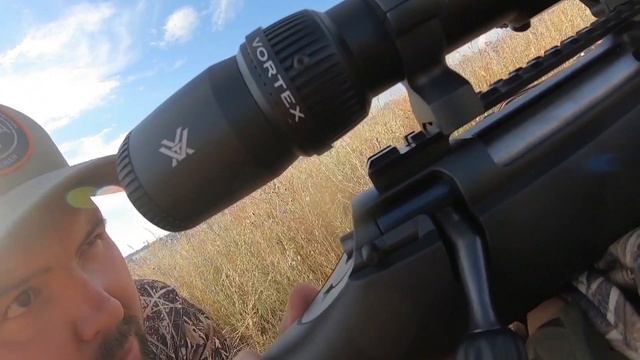 Охота на сурка на пузе .mp4 смотреть онлайн