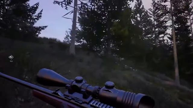 Roosevelt Forest Guide:Hunting Simulator 2 смотреть онлайн