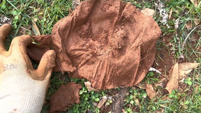 E23 What I Found while Metal Detecting in My Back Yard смотреть онлайн