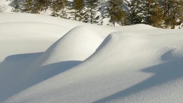 relaxdaily N°067 – Легкая расслабляющая инструментальная музыка – красивая, исцеляющая смотреть онлайн