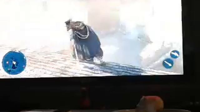 CAN I KILL YOU!! (Assassin's creed 3)#5 смотреть онлайн