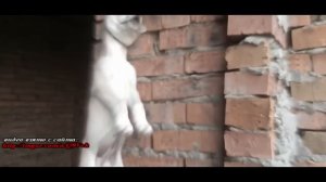 живодёрки из Хабаровска Аналитика