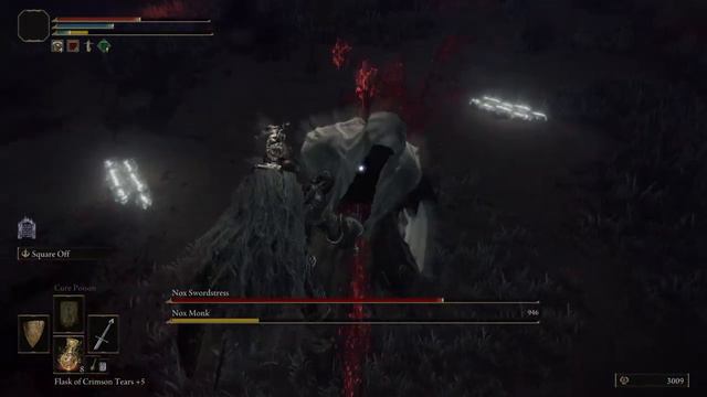 ELDEN RING: Nox Swordstress & Monk смотреть онлайн