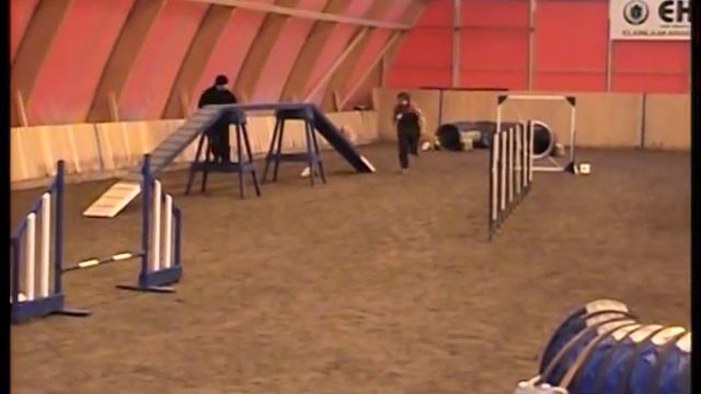 Mittelspitz agility 2 смотреть онлайн