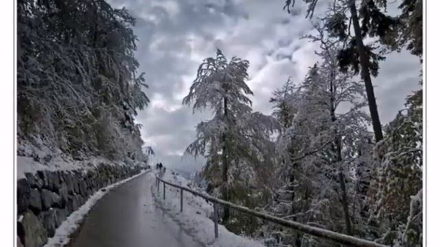 На белом белом покрывале января смотреть онлайн