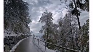 На белом белом покрывале января