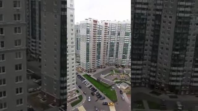 Отзыв Изумрудные Холмы Эталон Инвест смотреть онлайн