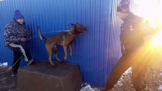 КА Крикс (Кокс) смотреть онлайн