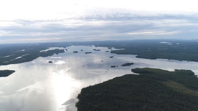 ББС 2019 | WSBS 2019 | by Skaverick смотреть онлайн