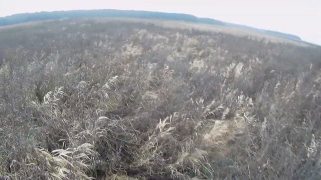 ОХОТА НА ЗАЙЦА без снега.НАШЁЛ за 30 минут! смотреть онлайн