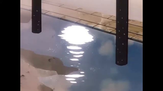 divlji vjetre - damir kedžo (slowed + reverb) смотреть онлайн