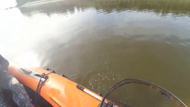 ЩУКИ МОНСТРЫ - ВСЕ ТРОФЕИ В ОДНОМ ВИДЕО- ЛУЧШИЕ МОМЕНТЫ 2021Г смотреть онлайн