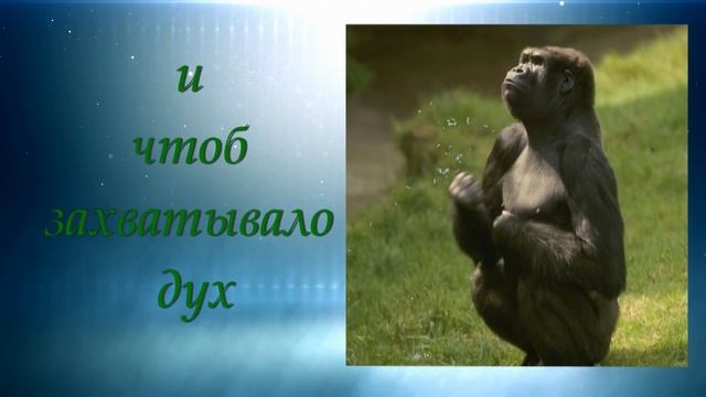 ПОЗДРАВЛЕНИЕ МУЖЧИНЕ с шутками! С днем рожденья! смотреть онлайн