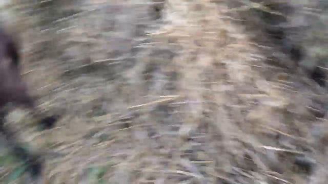 МТЗ-80. Новая жизнь трактора. Что с ним будет? Часть 2. смотреть онлайн