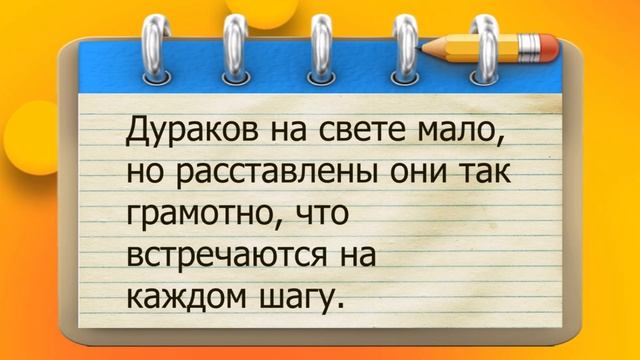 ✔️В воскресенье и субботу, я люблю свою работу! Анекдоты с Волком.#ВГостяхУВолка смотреть онлайн