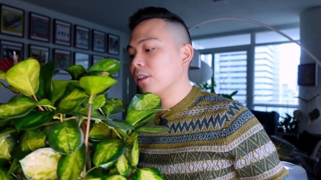 Top 5 Favourite Plants ? OCTOBER 2021 ? Philodendron Plowmanii, Strawberry Shake, Metallicum, & MOR смотреть онлайн