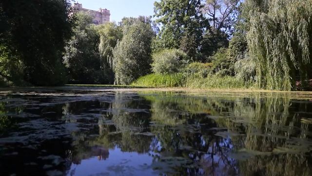 История аптекарского огорода МГУ смотреть онлайн