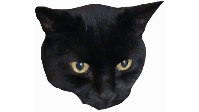 где я нахожусь смотреть онлайн