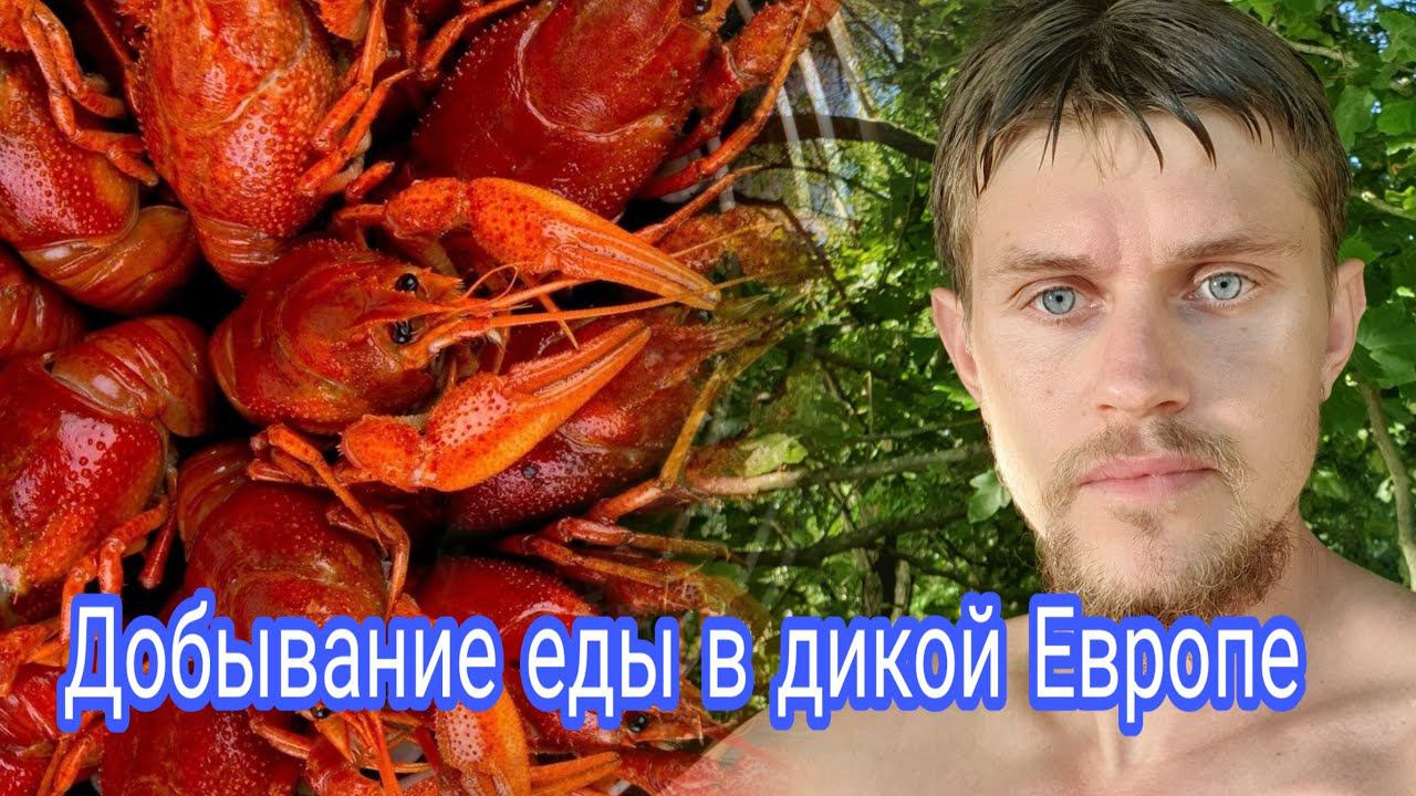 Экстримальное выживание в дикой Европе. Ловлю рыбу, раков. Miroslav смотреть онлайн