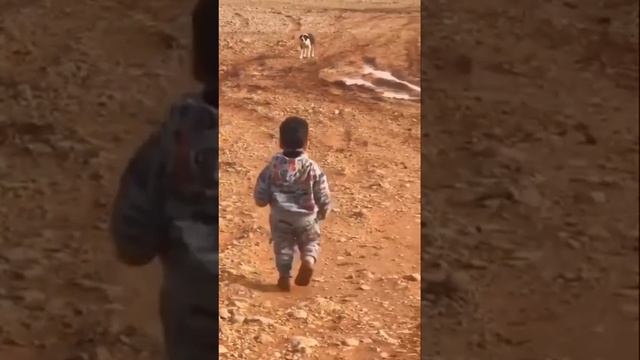 Передумал смотреть онлайн