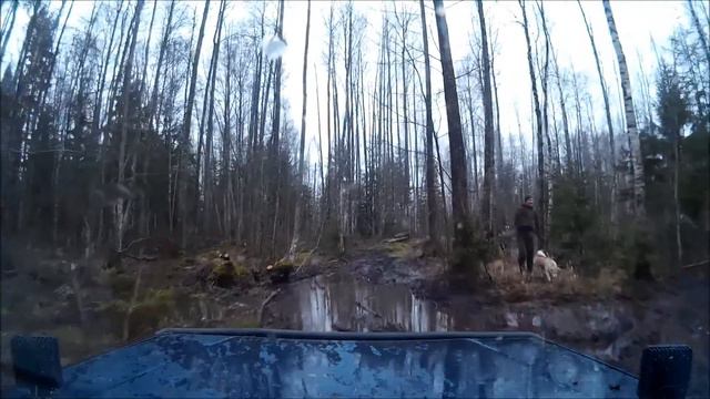 Auksi ringrada 2015 смотреть онлайн