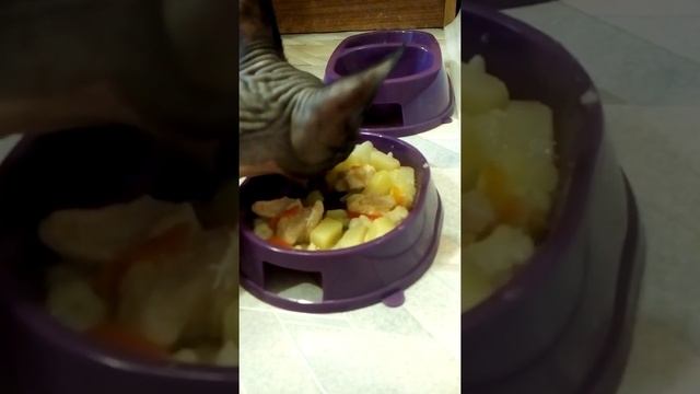 Мама говорит что суп надо кушать смотреть онлайн