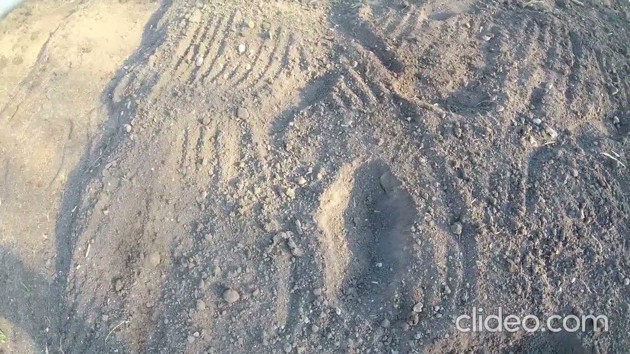 Учимся читать следы зверя. смотреть онлайн