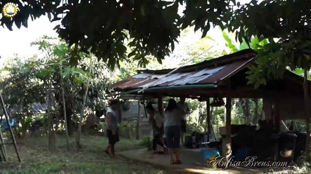 Поездка в тайскую деревню к Доту. Родительский дом и сад.11 смотреть онлайн