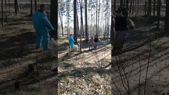 Большая Ижора 2019 смотреть онлайн
