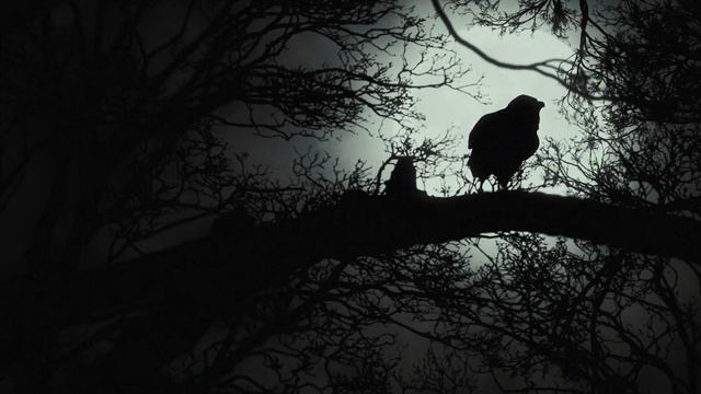 Это было ужасно смотреть онлайн