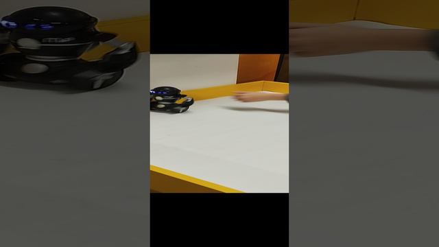 НОВЫЙ РОБОПАРК БРЯНСК 2024