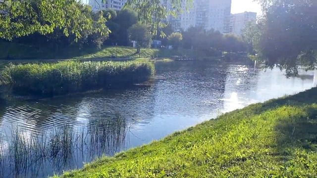 Продам однушку в Солнцево смотреть онлайн