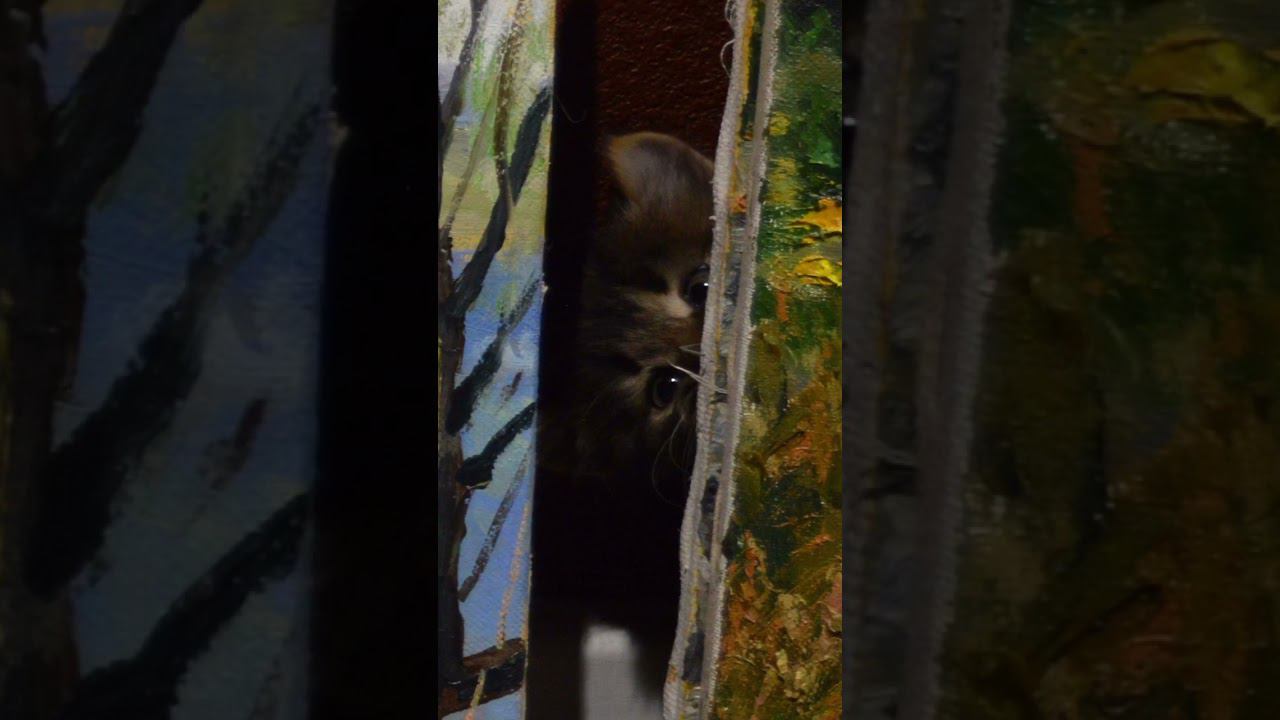 За картиной живет домовой смотреть онлайн