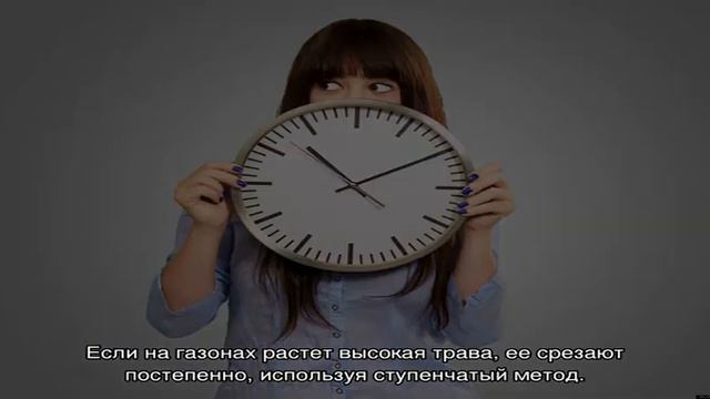 Мульчирование газона газонокосилкой — экономный агротехнический прием смотреть онлайн