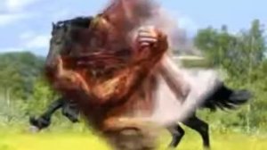 Спрячь за высоким забором девчёнку