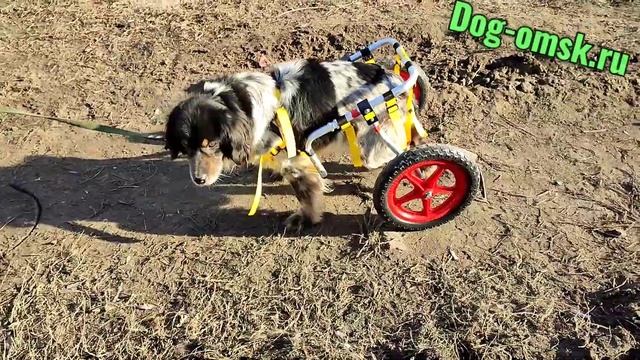 У ЧАРЛИ появилась возможность ходить! смотреть онлайн