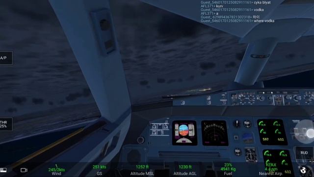 RFS-Посадка в аэропорту Лос Анджелеса | RFS- Los Angeles Airport Landing