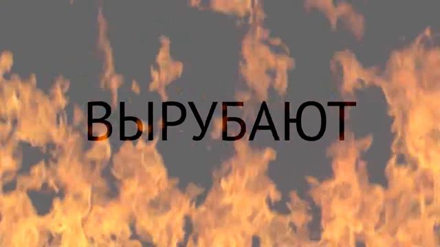 Пожар лес сибирь смотреть онлайн